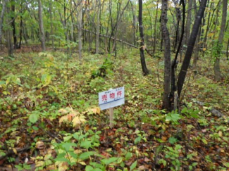 北海道茅部郡鹿部町字本別の売地の画像