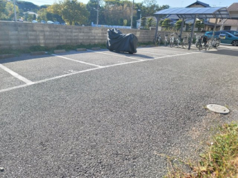 平面式の駐車場です