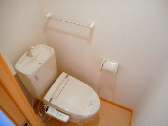 落ち着いた色調のトイレです