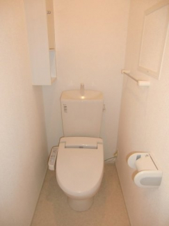 落ち着いた色調のトイレです