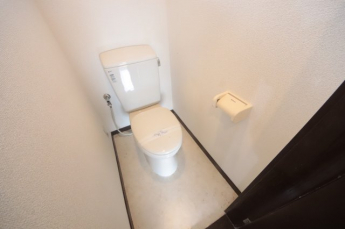 落ち着いた色調のトイレです