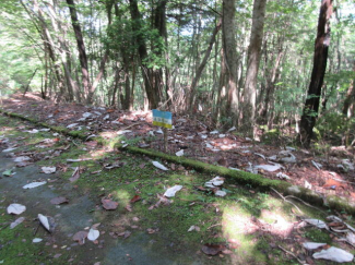 岐阜県加茂郡白川町黒川の売地の画像