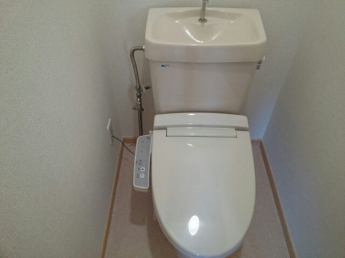 落ち着いた色調のトイレです