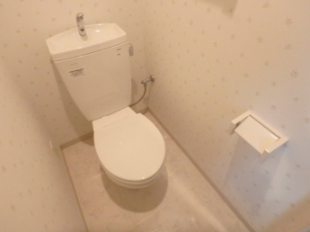 コンパクトで使いやすいトイレです