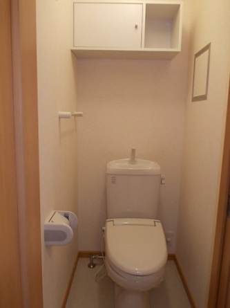 落ち着いた色調のトイレです