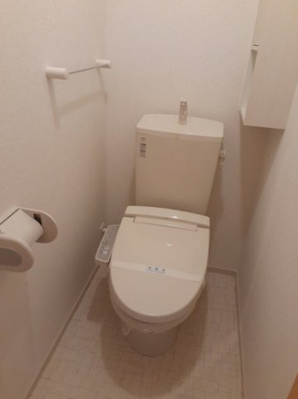 落ち着いた色調のトイレです