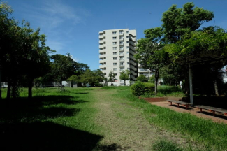 キリンソウ公園まで40m