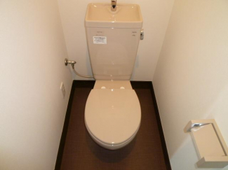 落ち着いた色調のトイレです