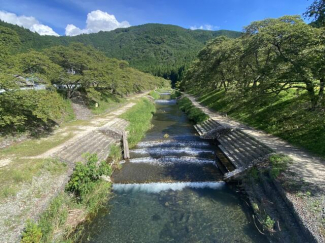 鮎河千本桜まで50m