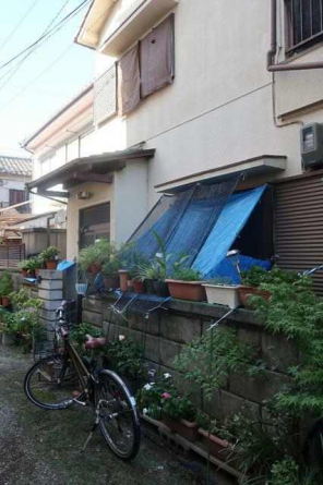 堺市堺区山本町２丁戸建の画像