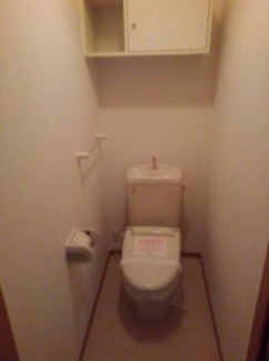 落ち着いた色調のトイレです