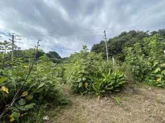 松山市権現町の売地の画像