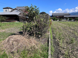 西条市朔日市の売地の画像