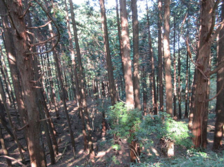 三重県伊賀市奥鹿野の売地の画像