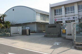 松山市立 椿小学校まで768m