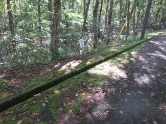 岐阜県高山市荘川町町屋の売地の画像