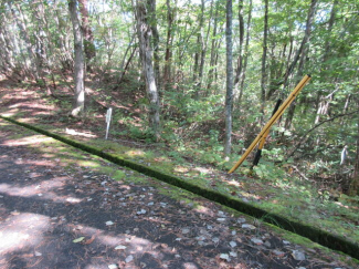 岐阜県高山市荘川町町屋の売地の画像