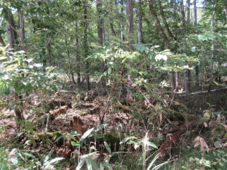 岐阜県高山市荘川町一色の売地の画像