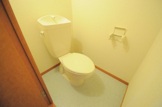 落ち着いた色調のトイレです