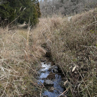 兵庫県丹波篠山市本明谷の売地の画像