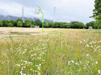 福栄町緑地まで662m