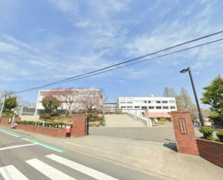 松山東雲短期大学まで300m