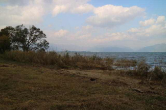 新旭湖岸風景