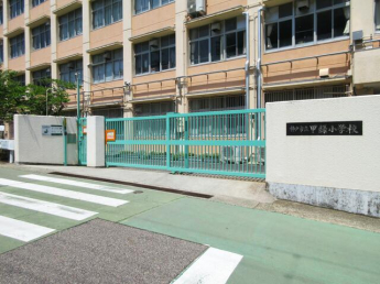 神戸市立甲緑小学校まで320m