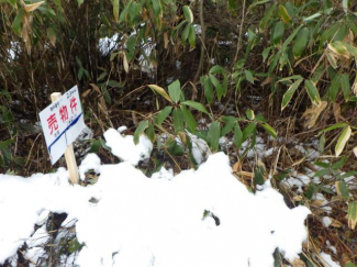 青森県青森市大字駒込字深沢の売地の画像