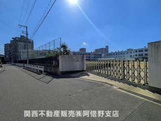 ◎大阪市立田辺小学校から見たレックスマンション田辺の写真です