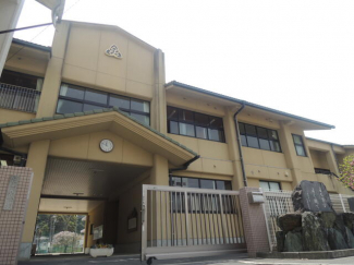 八幡浜市立江戸岡小学校まで1042m
