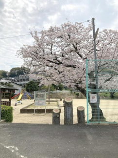 丘公園まで50m