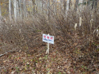 北海道磯谷郡蘭越町字日出の売地の画像