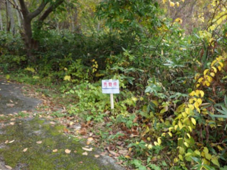 北海道虻田郡洞爺湖町旭浦の売地の画像