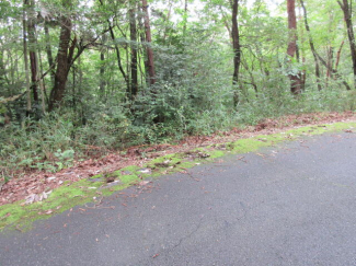 岐阜県瑞浪市大湫町の売地の画像