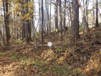 北海道磯谷郡蘭越町字湯里の売地の画像