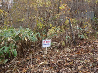 北海道虻田郡洞爺湖町旭浦の売地の画像