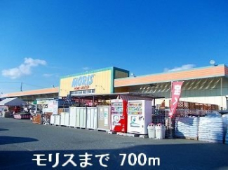 モリスまで700m