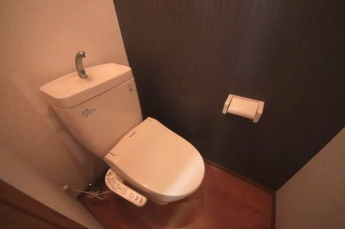 シンプルで使いやすいトイレです