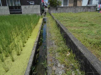 新居浜市沢津町２丁目の売地の画像