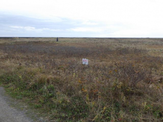 北海道白糠郡白糠町西庶路東二条南４丁目の売地の画像