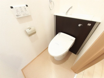 落ち着いた色調のトイレです