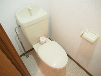 ゆったりとした空間のトイレです