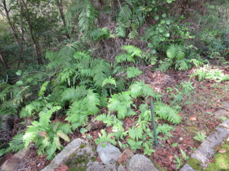 兵庫県赤穂郡上郡町高山の売地の画像