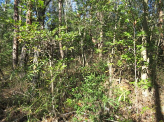 兵庫県相生市矢野町能下の売地の画像