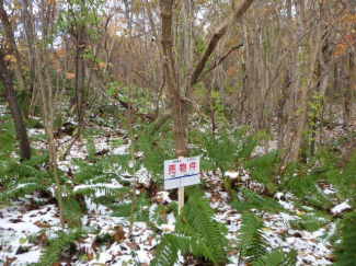 北海道茅部郡鹿部町字本別の売地の画像