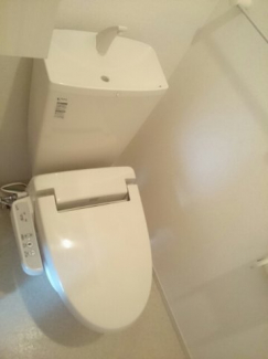 落ち着いた色調のトイレです