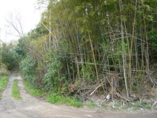 神戸市西区平野町中津の売地の画像