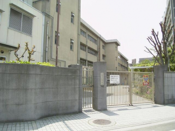 八尾市立八尾小学校まで430m