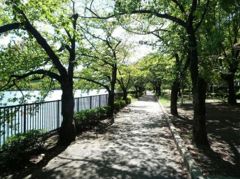 天満橋筋ビューハイツの画像